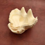Wooden Sea Turtle Magnet Blue Hibiscus Flower (1 magnet approx. 2+ inches) Wood Sea Turtle Magnet gift for fridges cabinets doors! Copyright 2025 SeaShellSupply.com.