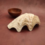 Derasa Clam Seashell Half White Tridacna Derasa (1 shell approx. 8+ inches) Big Derasa Clam Shells for dish decor centerpieces & display! 05