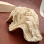 White Derasa Clam Shell Half Tridacna Derasa (1 shell approx. 8+ inches) Large Derasa Clam Shells ideal for decor centerpieces & display!
