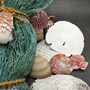 Seashell Variety Pack Assorted Mix B GRADE (Approx. 50+ Shells 2-8+ inches) B GRADE Shell Grab Bag Assortment 4 for crafts teaching & art!