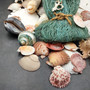 Seashell Variety Pack Assorted Mix B GRADE (Approx. 50+ Shells 2-8+ inches) B GRADE Shell Grab Bag Assortment 4 for crafts teaching & art!