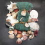 Seashell Variety Pack Assorted Mix B GRADE (Approx. 50+ Shells 2-8+ inches) B GRADE Shell Grab Bag Assortment 4 for crafts teaching & art!