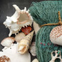 Seashell Variety Pack Assorted Mix B GRADE (Approx. 50+ Shells 2-8+ inches) B GRADE Shell Grab Bag Assortment 4 for crafts teaching & art! Copyright 2025 SeaShellSupply.com.