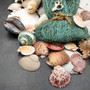 Seashell Variety Pack Assorted Mix B GRADE (Approx. 50+ Shells 2-8+ inches) B GRADE Shell Grab Bag Assortment 4 for crafts teaching & art! Copyright 2025 SeaShellSupply.com.