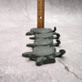 Sea Turtle Family Wall Hook Rack Cast Iron Green Patina (1 hook rack approx. 10 inches) Green Sea Turtle Hook Rack for coastal decor!  Copyright 2025 SeaShellSupply.com.