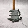 Sea Turtle Family Wall Hook Rack Cast Iron Green Patina (1 hook rack approx. 10 inches) Green Sea Turtle Hook Rack for coastal decor!