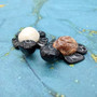 Natural Marble Stone Black Sea Turtles (set of 2 stone figure approx. 2+ inches) Carved Marble Turtle Figurines for coastal home shelf decor!  Copyright 2025 SeaShellSupply.com.