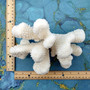 White Cauliflower Coral Cluster Pocillopra Eydouxi (1 coral approx. 8L x 5H x 5D inches) White Cauliflower Coral Cluster for home décor! Copyright 2025 SeaShellSupply.com.
