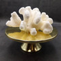 White Cauliflower Coral Cluster Pocillopra Eydouxi (1 coral approx. 8L x 4H x 6.5D inches) White Cauliflower Coral Cluster for home décor! Copyright 2025 SeaShellSupply.com.