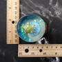 Small Sea Turtle Water Globe with Dolphin and Coral Base (1 globe approx. 2.75 inches tall) Cute Sea Turtle Water Globe for gifts & decor!