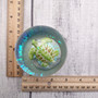 Colorful Green Sea Turtle Water Glass Globe (1 globe approx. 3.5+ inches tall) Detailed Sea Turtle Water Globe for home décor & display! Copyright 2025 SeaShellSupply.com.