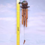 Painted Coconut Sea Turtle Bamboo Wind Chime Purple Green (1 windchime approx. 30 x 6.5 inches) Hanging Sea Turtle Chime for patio decor!
