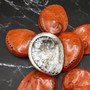 Polished Orange Midas Abalone Seashell Set Haliotis Midae (7 shells approx 4+ inches) B GRADE Abalone Shells for display & collecting! Copyright 2025 SeaShellSupply.com.