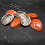 Polished Orange Midas Abalone Seashell Set Haliotis Midae (7 shells approx 4+ inches) B GRADE Abalone Shells for display & collecting! Copyright 2025 SeaShellSupply.com.