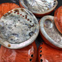 Polished Orange Midas Abalone Seashell Set Haliotis Midae (7 shells approx 4+ inches) B GRADE Abalone Shells for display & collecting!