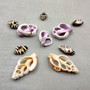 Sliced Cebu Cumbella and Engina Small Seashell Assortment (10 shells approx. 0.50-0.75+ inches) Sliced shells great for craft & collections!