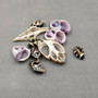 Sliced Cebu Cumbella and Engina Small Seashell Assortment (10 shells approx. 0.50-0.75+ inches) Sliced shells great for craft & collections!