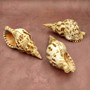 Caribbean Triton Seashell Charonia Tritonis (1 shell approx. 7+ inches) Large Triton shells for coastal crafting décor & collections! Copyright 2025 SeaShellSupply.com.