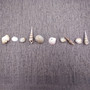 Drilled Seashells Assorted Mix (approx. 1 cup +/-15 shells 0.75-1.5+ inches) Drilled Shell Assortment for beach arts crafts décor & jewelry! Copyright 2025 SeaShellSupply.com.