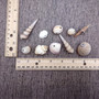 Drilled Seashells Assorted Mix (approx. 1 cup +/-15 shells 0.75-1.5+ inches) Drilled Shell Assortment for beach arts crafts décor & jewelry! Copyright 2025 SeaShellSupply.com.