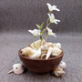 Drilled Seashells Assorted Mix (approx. 1 cup +/-15 shells 0.75-1.5+ inches) Drilled Shell Assortment for beach arts crafts décor & jewelry! Copyright 2025 SeaShellSupply.com.