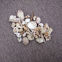 Drilled Seashells Assorted Mix (approx. 1 cup +/-15 shells 0.75-1.5+ inches) Drilled Shell Assortment for beach arts crafts décor & jewelry! Copyright 2025 SeaShellSupply.com.