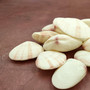 Sunrise Tellin Clam Seashells Natural Tellina Radiata (15 shell pairs approx. 1.5+ inches) Tellin Clam Shells for crafts & collecting! Copyright 2025 SeaShellSupply.com.