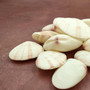 Sunrise Tellin Clam Seashells Natural Tellina Radiata (15 shell pairs approx. 1.5+ inches) Tellin Clam Shells for crafts & collecting! Copyright 2025 SeaShellSupply.com.