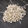 Pearlized White Umbonium Seashell Mix (approx. half cup +/-240 shells 0.375+ inches) Light Pearl Umbonium Shell for arts crafts & jewelry! Copyright 2025 SeaShellSupply.com.