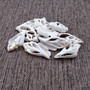 Center Cut White Chula Seashells Laevistrombus Canarium (10 shells approx. 1+ inches) Natural Sliced Strombus Shells for jewelry & décor! Copyright 2025 SeaShellSupply.com.
