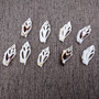 Center Cut White Chula Seashells Laevistrombus Canarium (10 shells approx. 1+ inches) Natural Sliced Strombus Shells for jewelry & décor! Copyright 2025 SeaShellSupply.com.