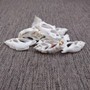 Center Cut White Chula Seashells Laevistrombus Canarium (10 shells approx. 1+ inches) Natural Sliced Strombus Shells for jewelry & décor! Copyright 2025 SeaShellSupply.com.