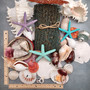 Seashell Variety Pack Assorted Mix B GRADE (Approx. 40+ Shells 2-12+ inches) B GRADE Shell Grab Bag Assortment 01 for crafts teaching & art! Copyright 2025 SeaShellSupply.com.