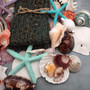 Seashell Variety Pack Assorted Mix B GRADE (Approx. 40+ Shells 2-12+ inches) B GRADE Shell Grab Bag Assortment 01 for crafts teaching & art! Copyright 2025 SeaShellSupply.com.
