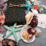 Seashell Variety Pack Assorted Mix B GRADE (Approx. 40+ Shells 2-12+ inches) B GRADE Shell Grab Bag Assortment 01 for crafts teaching & art! Copyright 2025 SeaShellSupply.com.