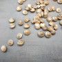 Pearlized White Umbonium Seashell Mix (approx. half cup +/-115 shells 0.5+ inches) Light Pearl Umbonium Shell for arts crafts & jewelry!  Copyright 2025 SeaShellSupply.com.