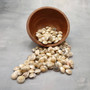Pearlized White Umbonium Seashell Mix (approx. half cup +/-115 shells 0.5+ inches) Light Pearl Umbonium Shell for arts crafts & jewelry!  Copyright 2025 SeaShellSupply.com.
