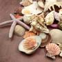 Seashell Variety Pack Assorted Mix B GRADE (Approx. 50+ Shells 2-8+ inches) B GRADE Shell Grab Bag Assortment 05 for crafts teaching & art! Copyright 2025 SeaShellSupply.com.