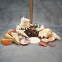 Seashell Variety Pack Assorted Mix B GRADE (Approx. 50+ Shells 2-8+ inches) B GRADE Shell Grab Bag Assortment 6 for crafts teaching & art! Copyright 2025 SeaShellSupply.com.
