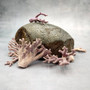 Purple Coral Pieces Pocillopora Acuta (1 piece approx. 3+ inches) Branching Purple Coral Pieces for coastal decor crafts & collections! Copyright 2025 SeaShellSupply.com.