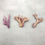 Purple Coral Pieces Pocillopora Acuta (1 piece approx. 3+ inches) Branching Purple Coral Pieces for coastal decor crafts & collections! Copyright 2025 SeaShellSupply.com.