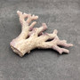 Purple Coral Pieces Pocillopora Acuta (1 piece approx. 2+ inches) Branching Purple Coral Pieces for coastal decor crafts & collections! Copyright 2025 SeaShellSupply.com.
