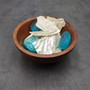White Abalone Pearlized Assorted Pieces (10 pieces approx. 0.75+ inches) Iridescent Abalone shell fragments for jewelry arts & crafts! Copyright 2025 SeaShellSupply.com.