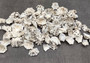 Star Limpet Seashells Pacific Sugar (appx. 47-50 pcs.) - (.5-1 inches) - Patelloida Saccharina. Multiple umbrella topper shaped shells with black accents. Copyright 2025 SeaShellSupply.com.