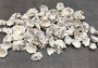 Pacific Sugar Limpet Seashells Patelloida Saccharina (approx. half cup +/-45 shells 0.5+ inches) Pacific Limpet Shell for jewelry & art!