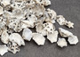 Pacific Sugar Limpet Seashells Patelloida Saccharina (approx. half cup +/-45 shells 0.5+ inches) Pacific Limpet Shell for jewelry & art!