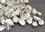 Star Limpet Seashells Pacific Sugar (appx. 47-50 pcs.) - (.5-1 inches) - Patelloida Saccharina. Multiple umbrella topper shaped shells with black accents. Copyright 2022 SeaShellSupply.com.