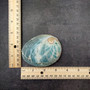 Natural Aqua Green Abalone Shell Haliotis Iris (1 shell approx 3+ inches) Blue Green Abalone shell for arts crafts collecting & display! Copyright 2025 SeaShellSupply.com.