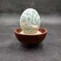 Natural Aqua Green Abalone Shell Haliotis Iris (1 shell approx 3+ inches) Blue Green Abalone shell for arts crafts collecting & display! Copyright 2025 SeaShellSupply.com.