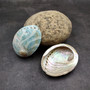 Natural Aqua Green Abalone Shell Haliotis Iris (1 shell approx 3+ inches) Blue Green Abalone shell for arts crafts collecting & display!